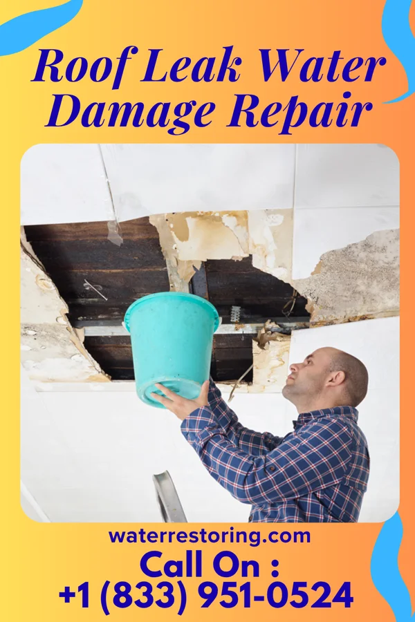 Roof Leak Water Damage Repair in Agra, KS